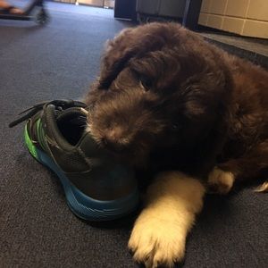 Meet your Posher, Jack